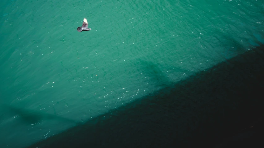 an aerial view of a boat with a person