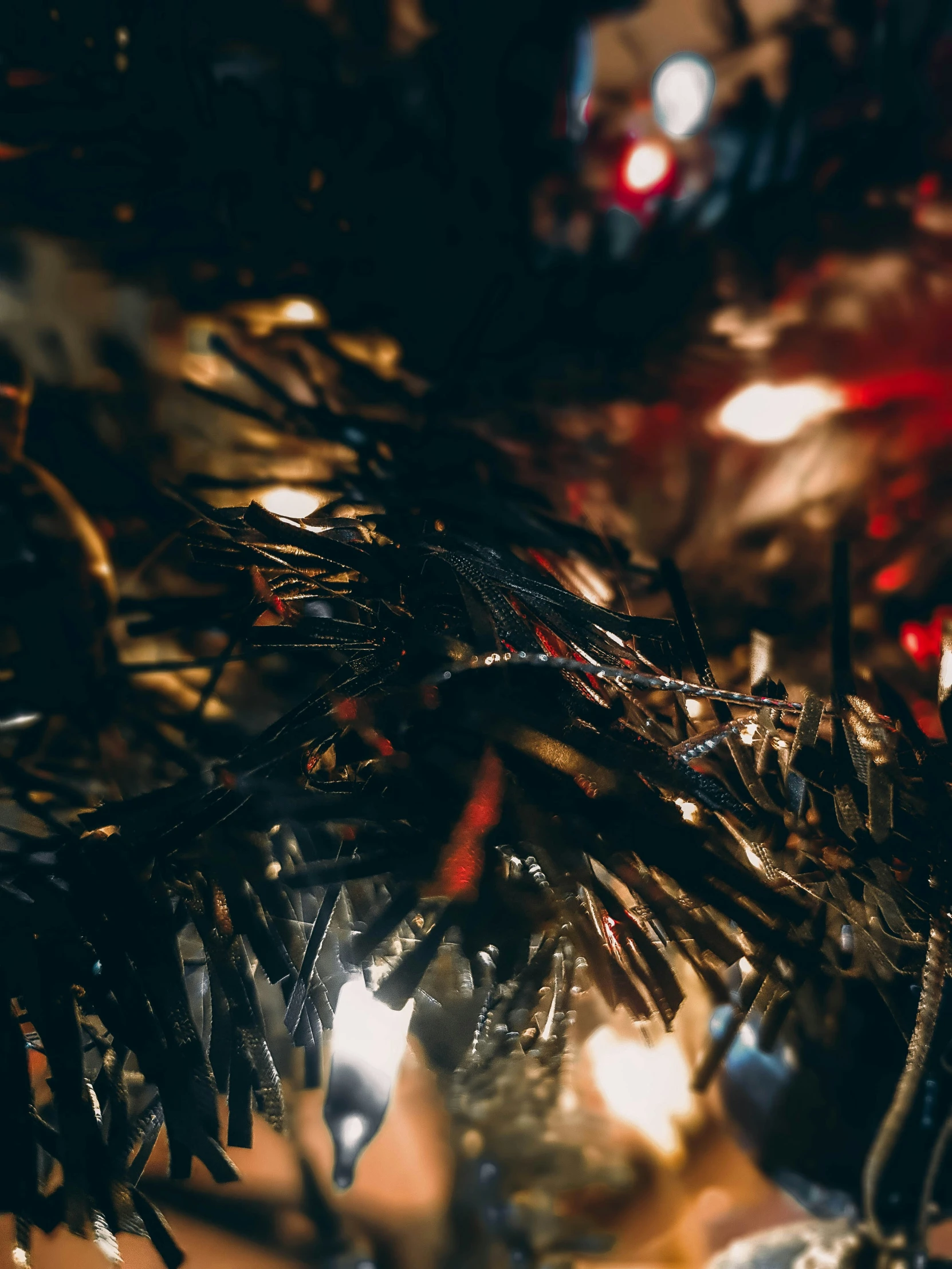 a close up image of the top of a christmas tree