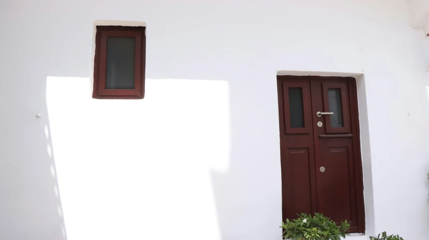 a plant sits next to a brown door