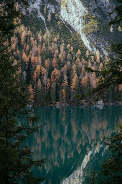 a lake surrounded by green trees with a snow covered mountain behind it