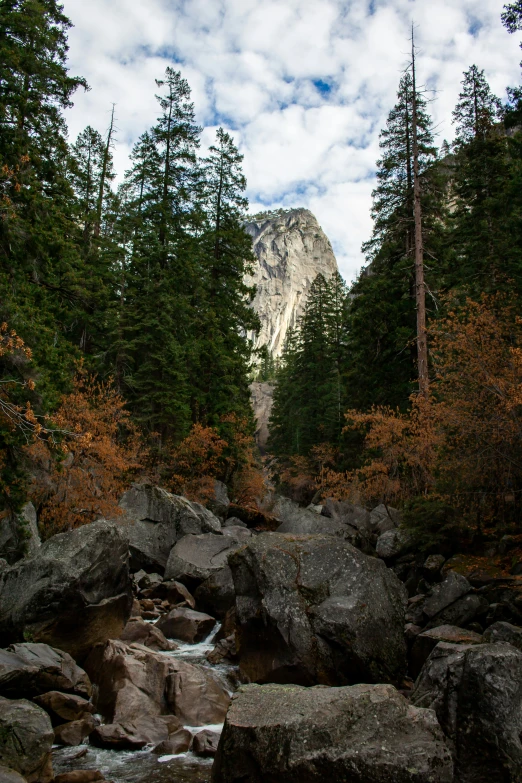 rocky stream and fall trees with mountains in background