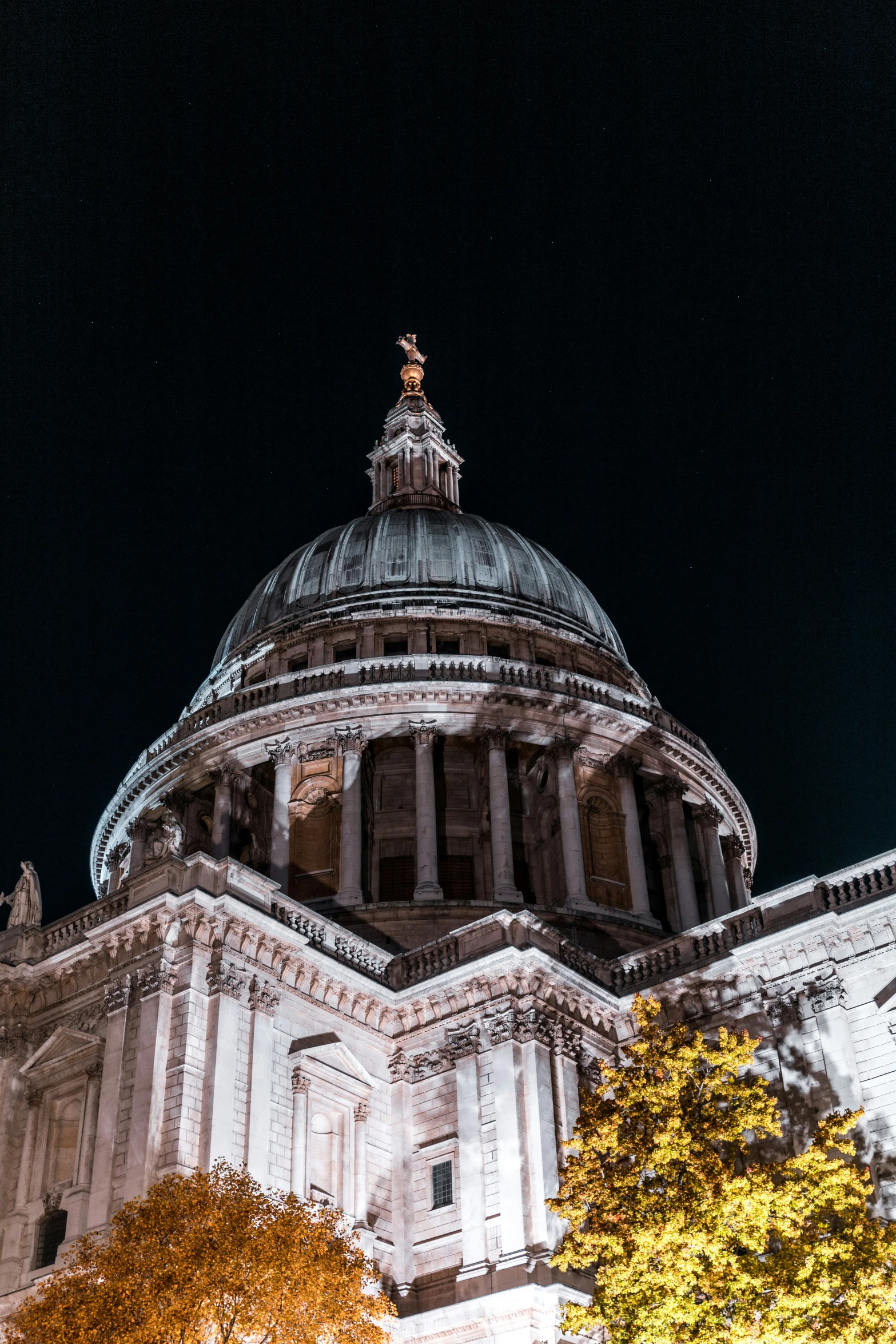 the cathedral in the city is lit up at night