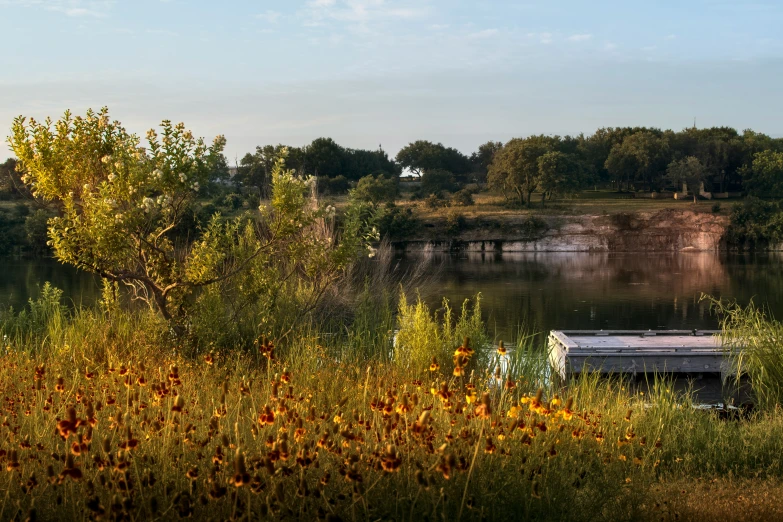 a river with a dock surrounded by green trees and flowers