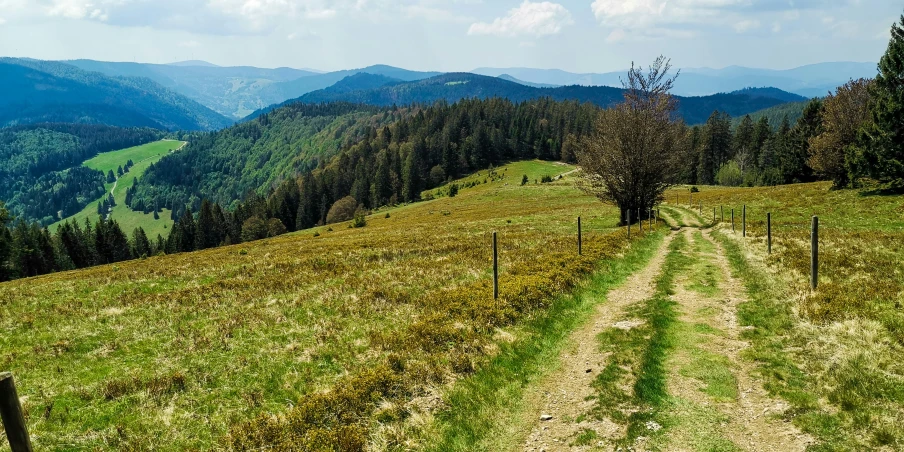 a dirt road through a grassy field with mountains in the background