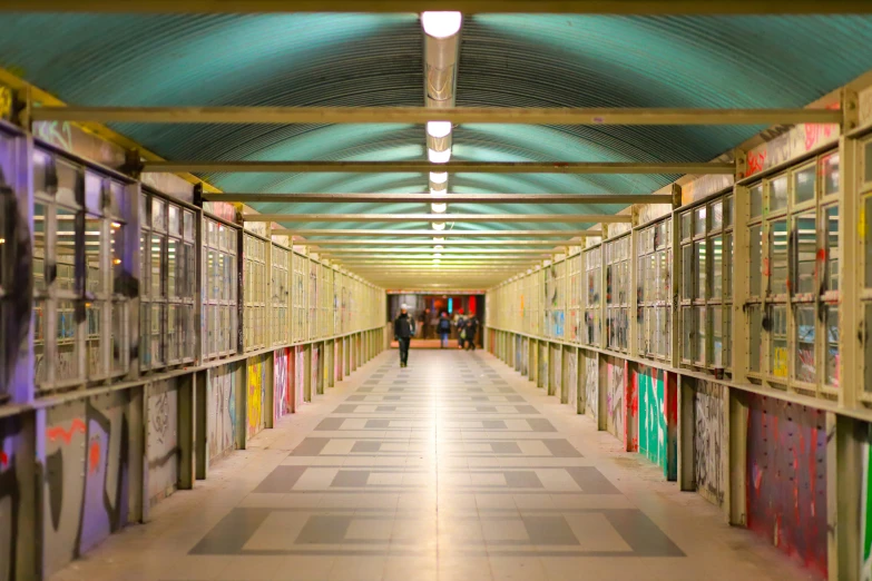 a long row of metal doors in a room