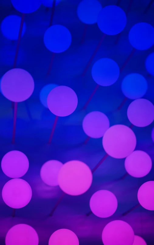 colorful circles in blue, pink and purple