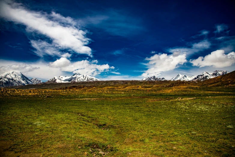 a field with a few snow capped mountains in the distance