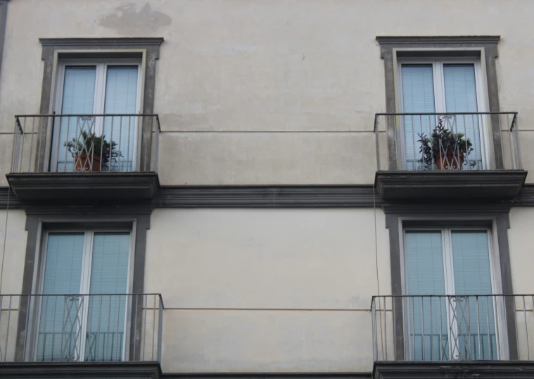 two balconies on a building have plants growing out the balcony