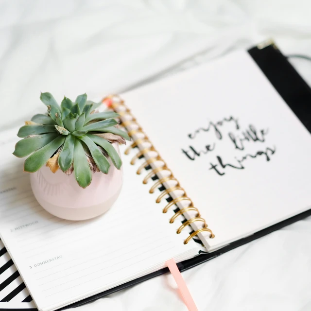 there is a plant on top of a notepad