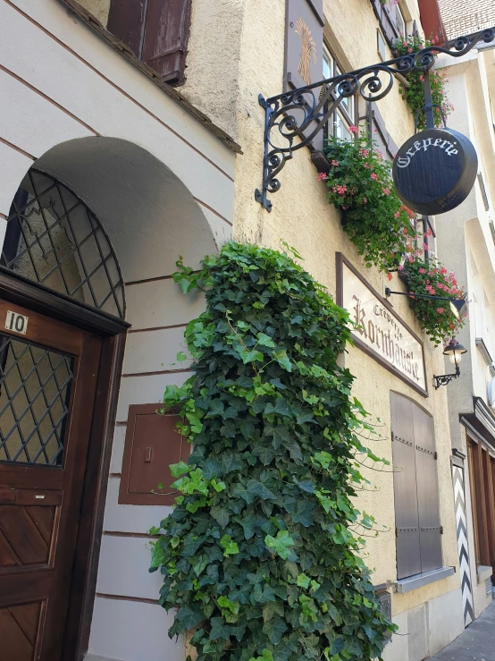 the outside view of an old building with a plant growing up the side