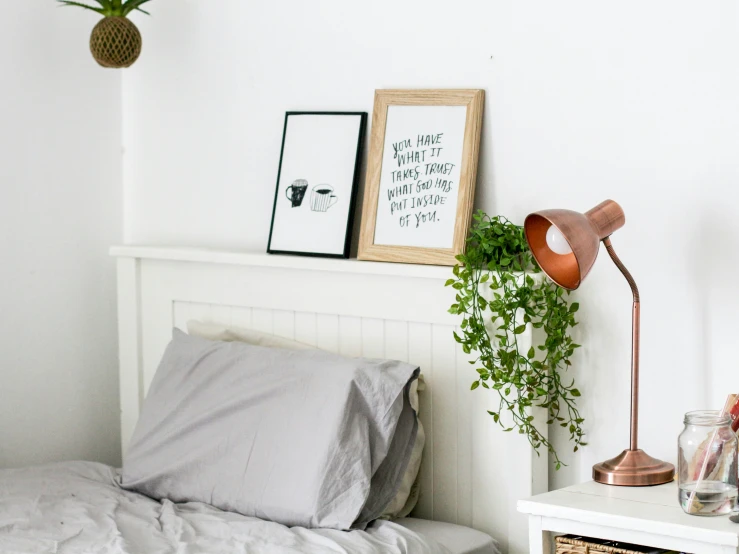 an interior bedroom scene with an air plant on the nightstand