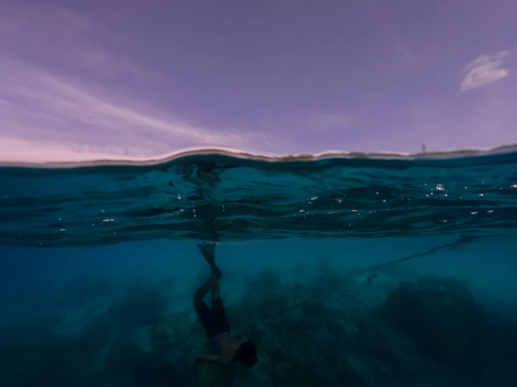 the person in the blue ocean looks into the water