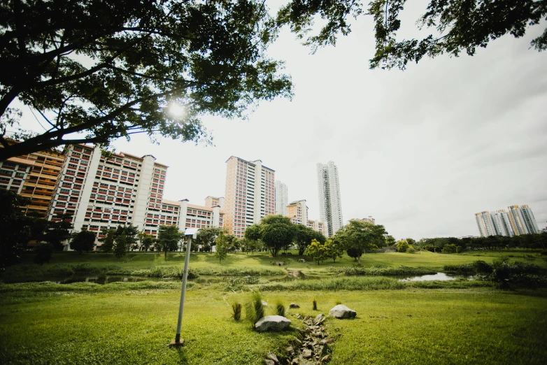 a grassy area with trees and buildings near it