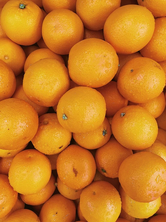 oranges are being used as the backdrop for a picture