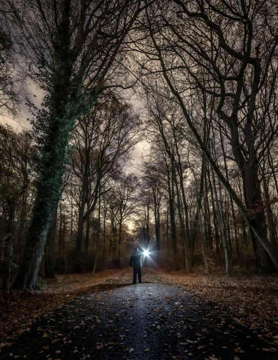 a person stands in the woods at night with a flashlight on their shoulder