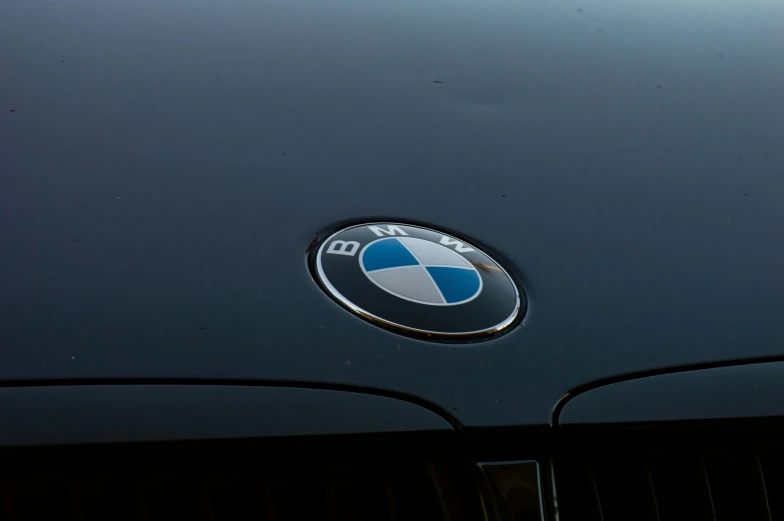 the emblem on the bmw car is shiny