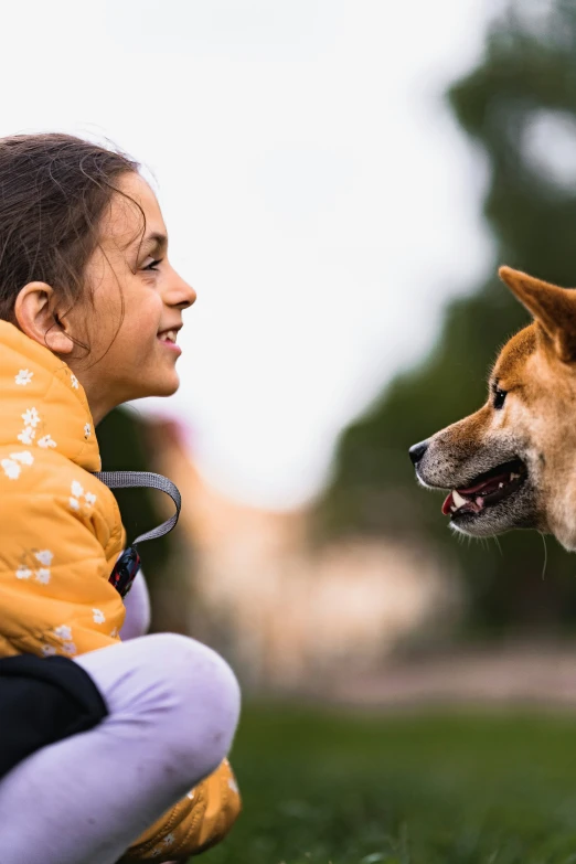 a small child pets a brown dog that is standing on grass