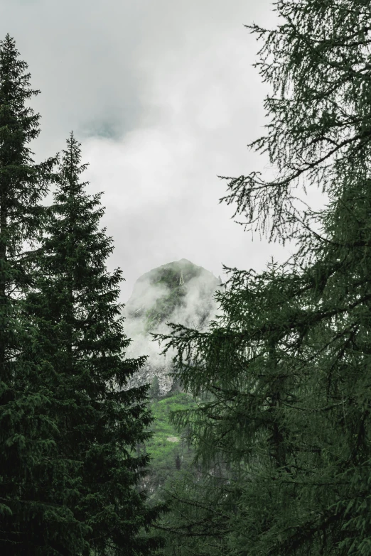 view of the mountains through trees on a cloudy day