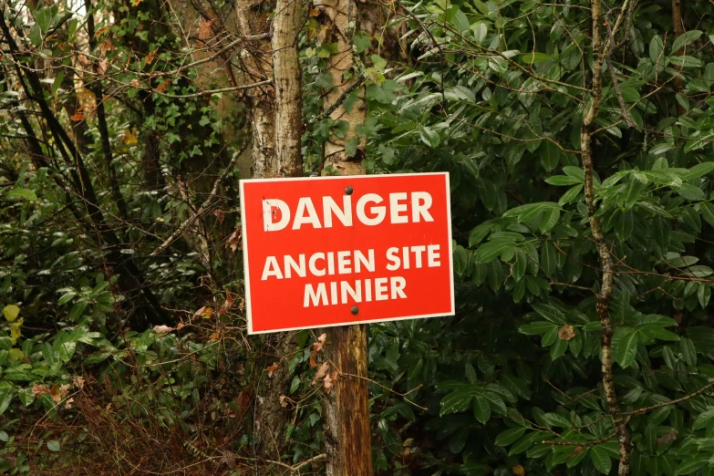 a red sign hanging from the side of a tree