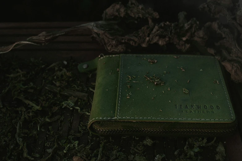 a green folder lying on top of a pile of leafy material