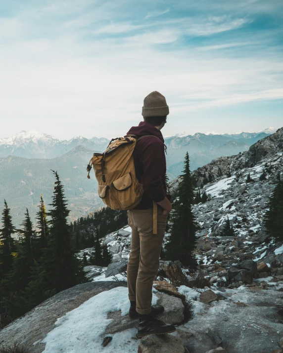 a person standing on top of a rock near a forest