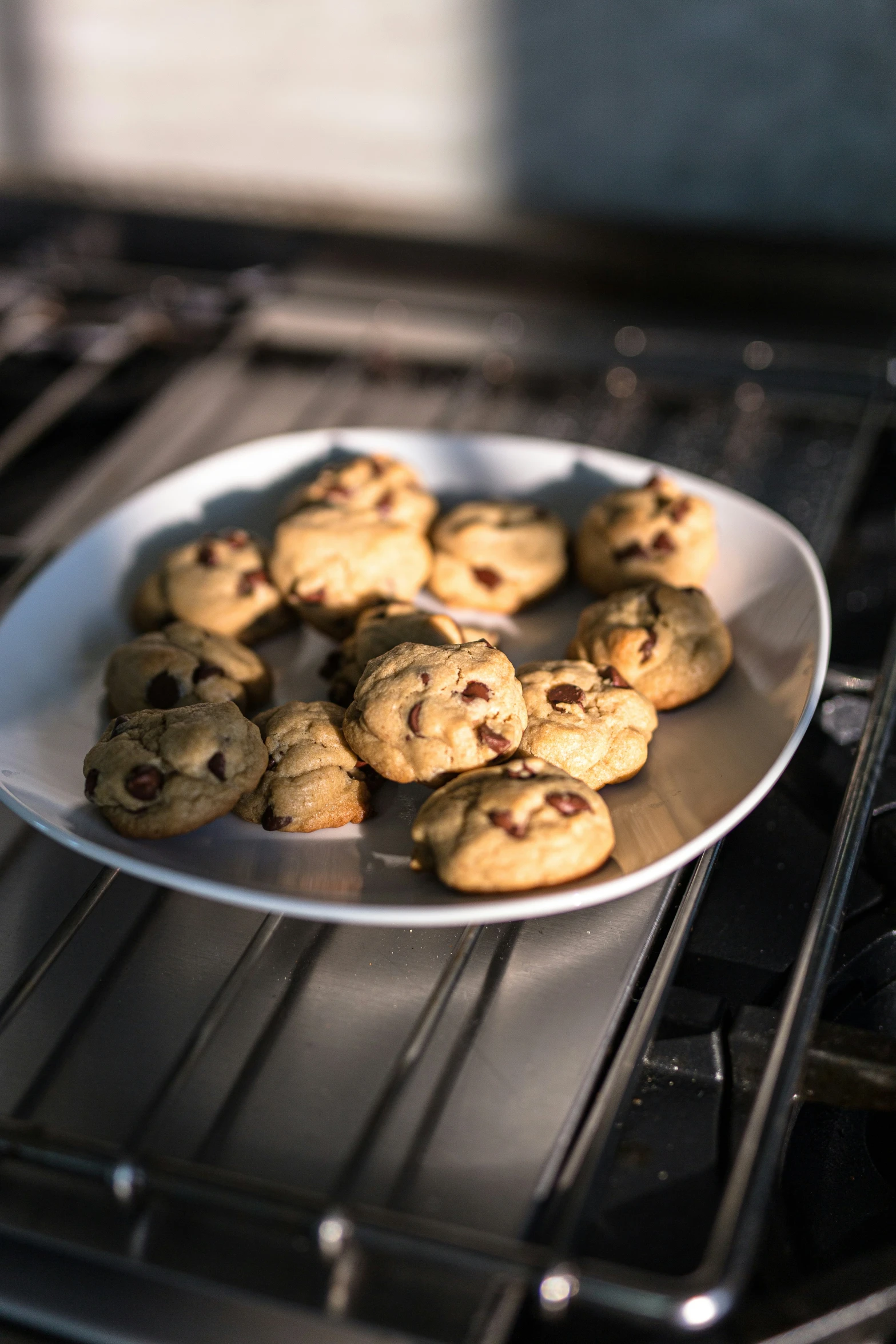 freshly baked cookies on a plate in the oven