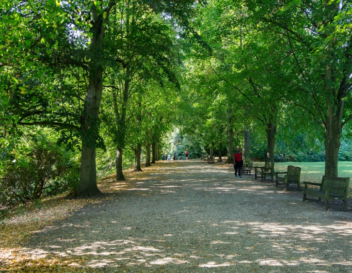 an open park with people walking around and benches along one end of the path