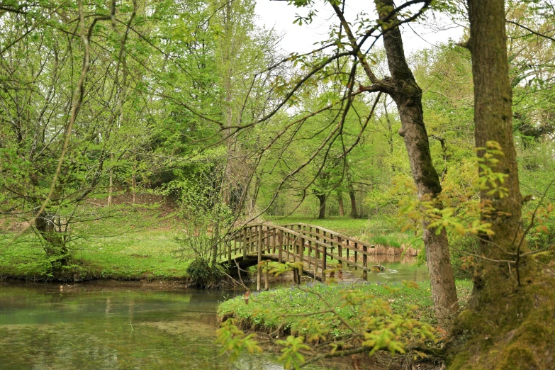 the river and wooden bridge are surrounded by grass