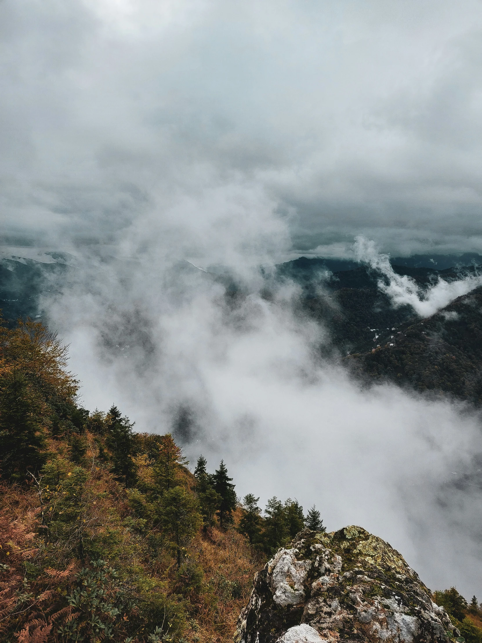 view of a forest and mountains covered in clouds from a rocky trail