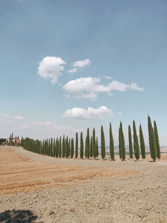 a dirt field with a lot of trees and some people walking by