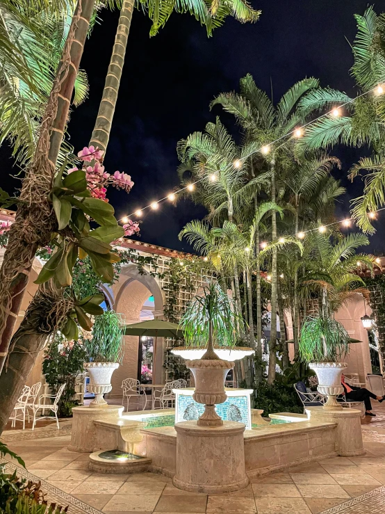 the palm trees are lined around a fountain