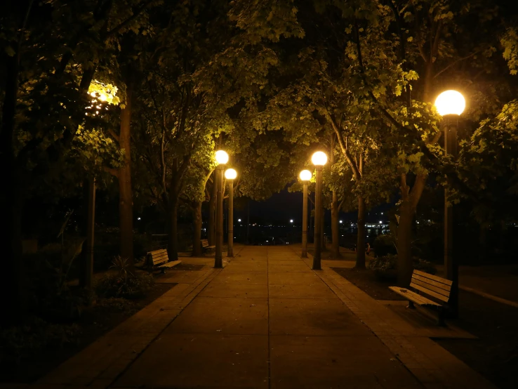 a lighted path between trees at night in a park