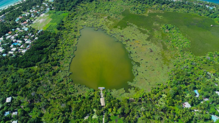 a large round shaped pond surrounded by trees