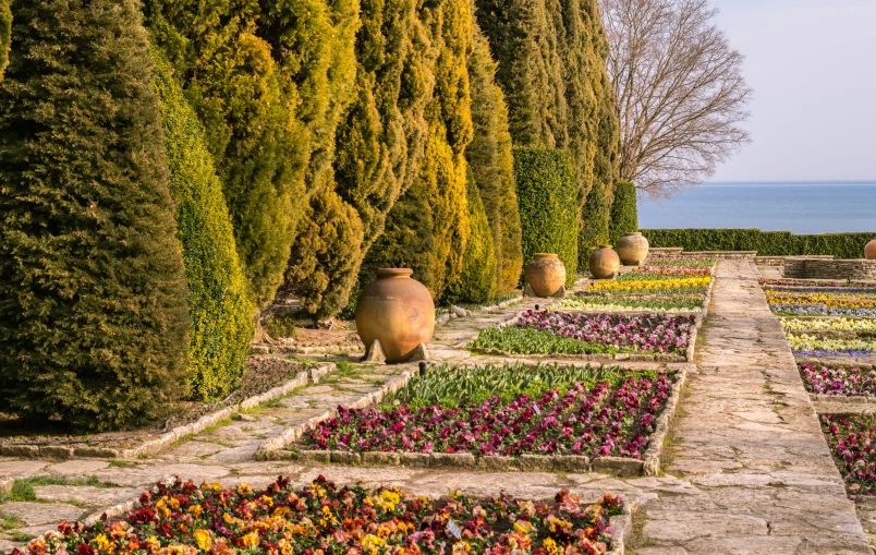 a view of a garden that has various colors of flowers in it