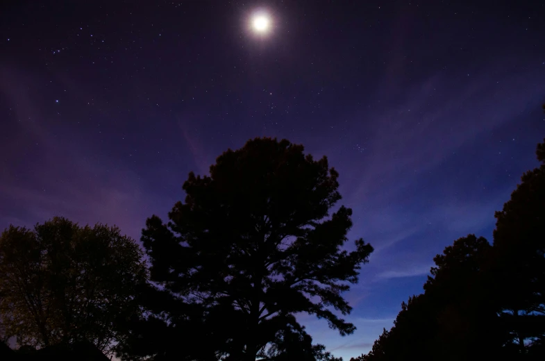 a bright moon and a dark sky with stars and trees