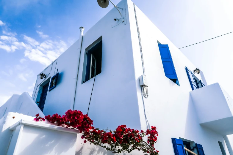 a house with a lot of windows and blue shutters