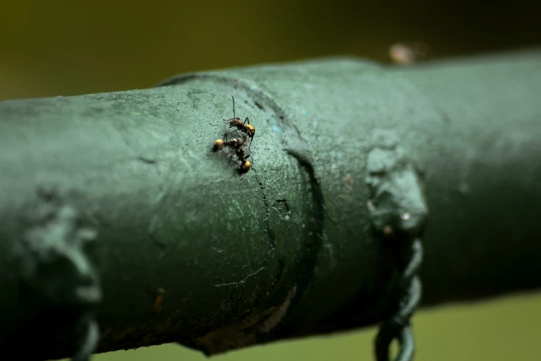 a very close up po of a very old pipe