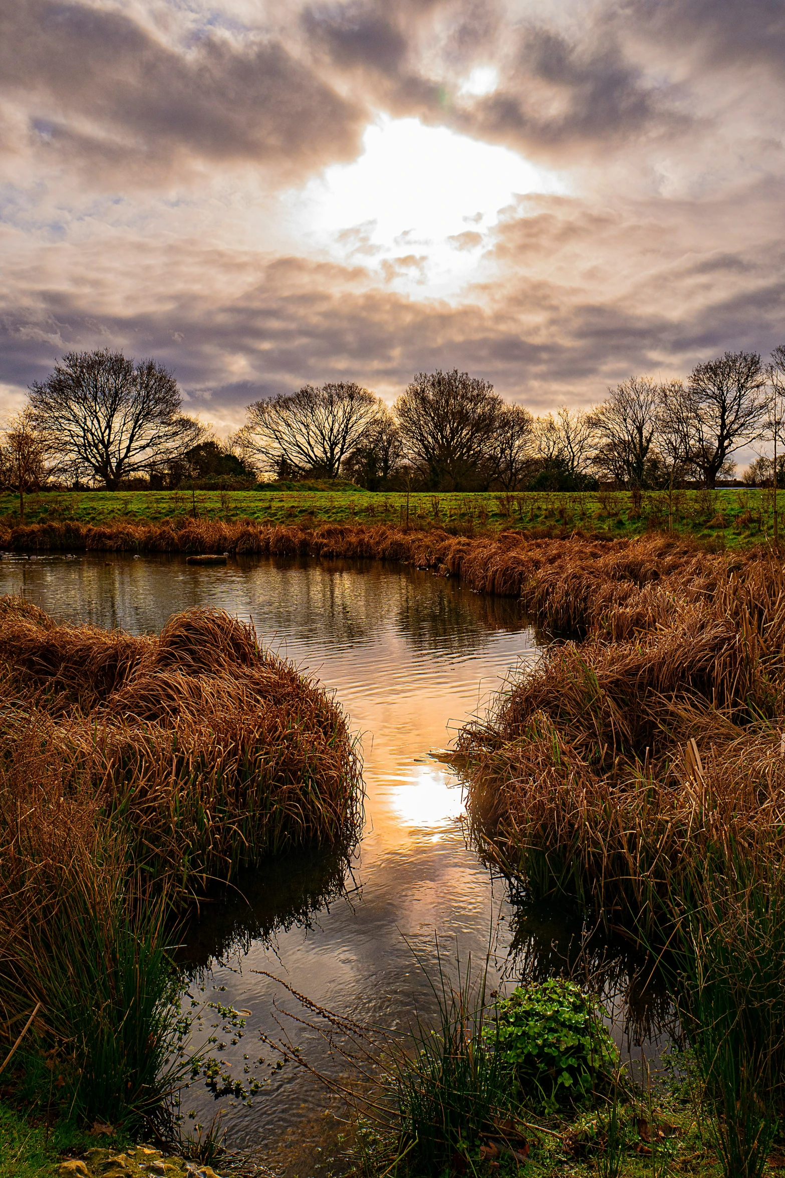 an expanse of land that is reflected in the water