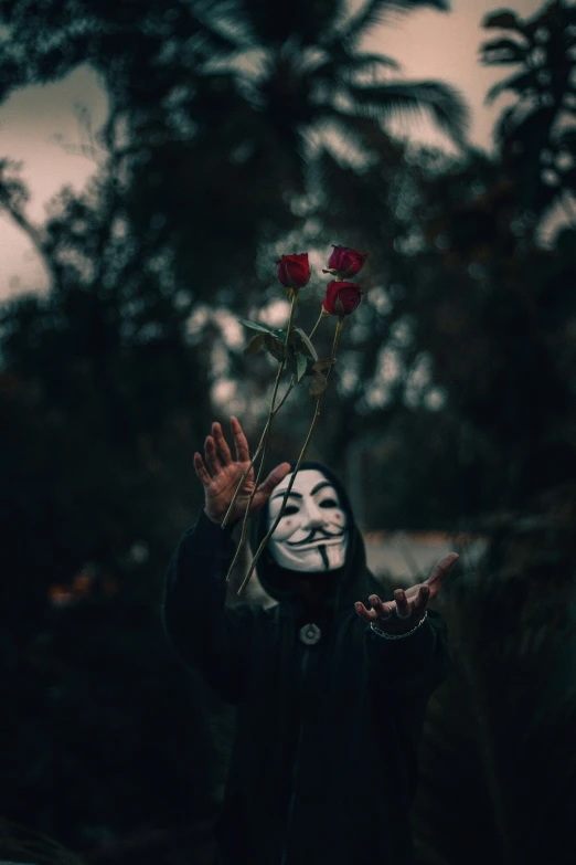 a person wearing a mask holding a rose