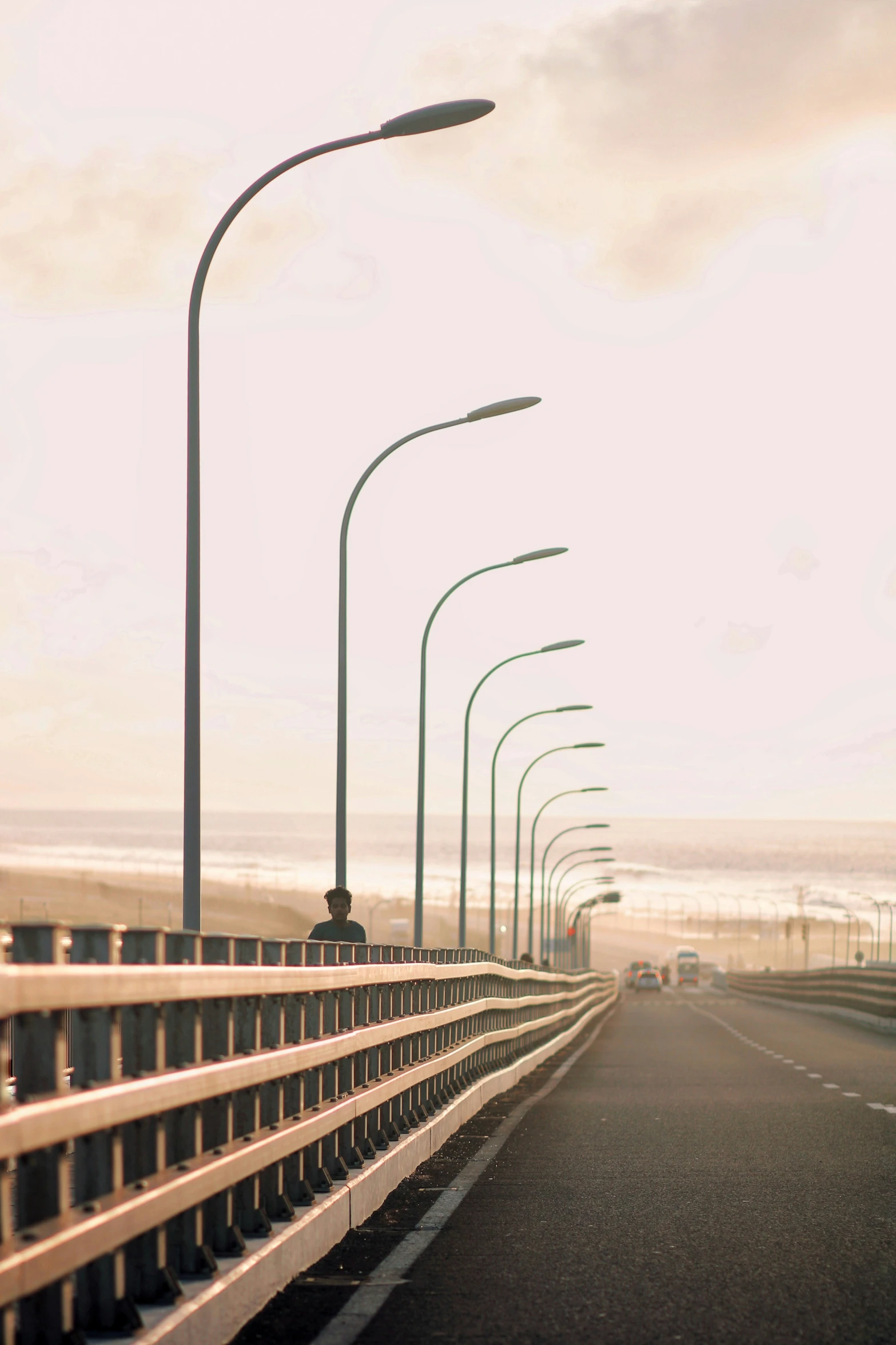 a view of a roadway that has several street lights