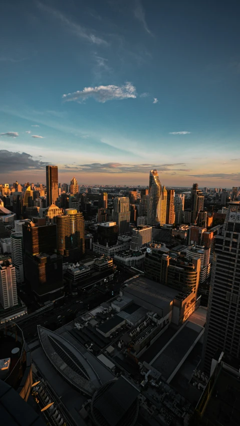 the large skyscrs of the city center of an urban area