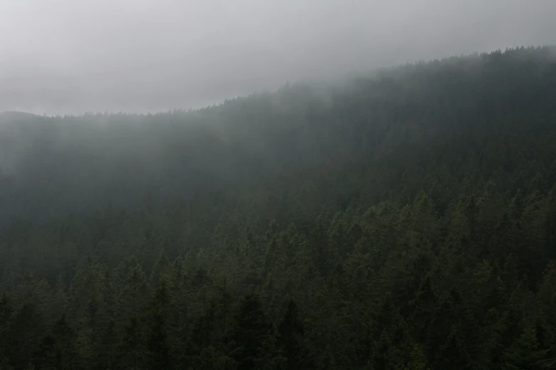 the mountain slope appears to be covered in thick fog