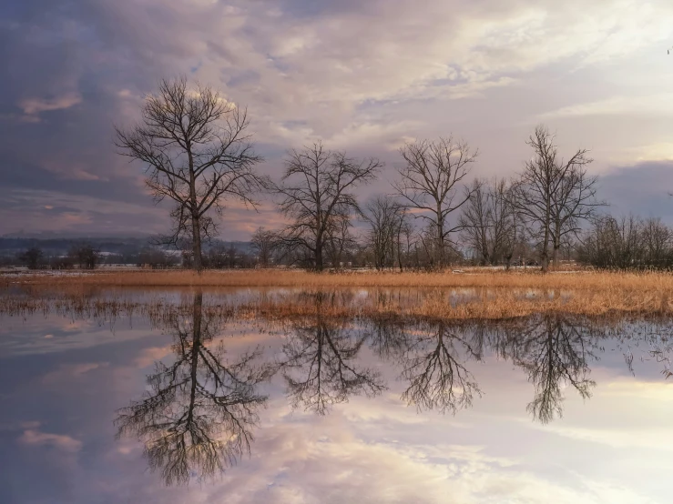 some water trees bushes and clouds in the sky