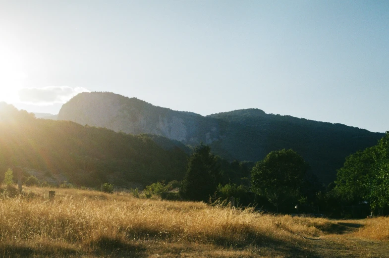 a grassy field and mountains under a bright blue sky