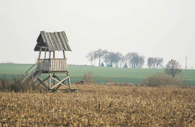 a large open field has a small wooden structure near a wooden walkway