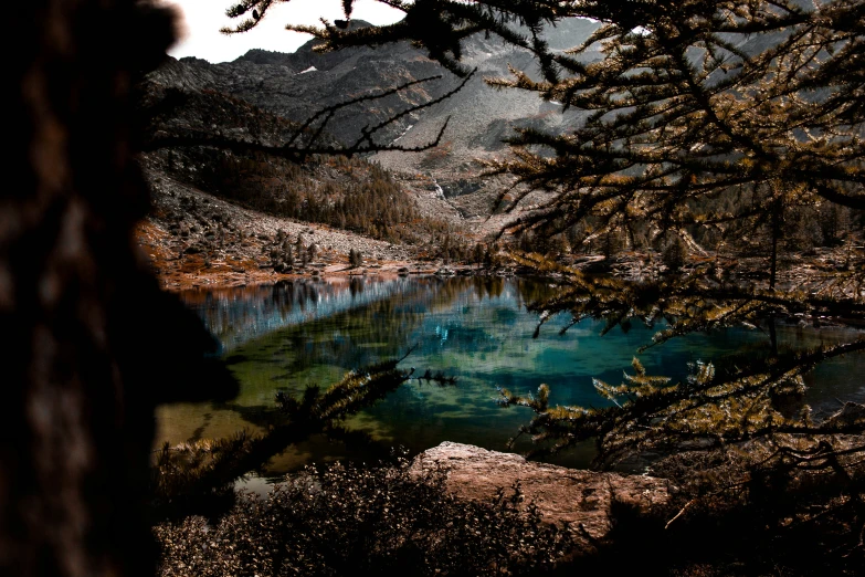 a pond near rocks with water underneath