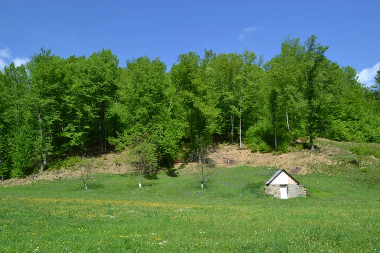 there is a small hut on the grass next to trees