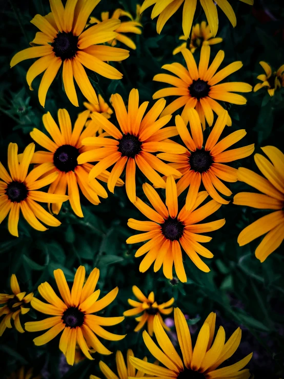 many bright yellow flowers in a bouquet