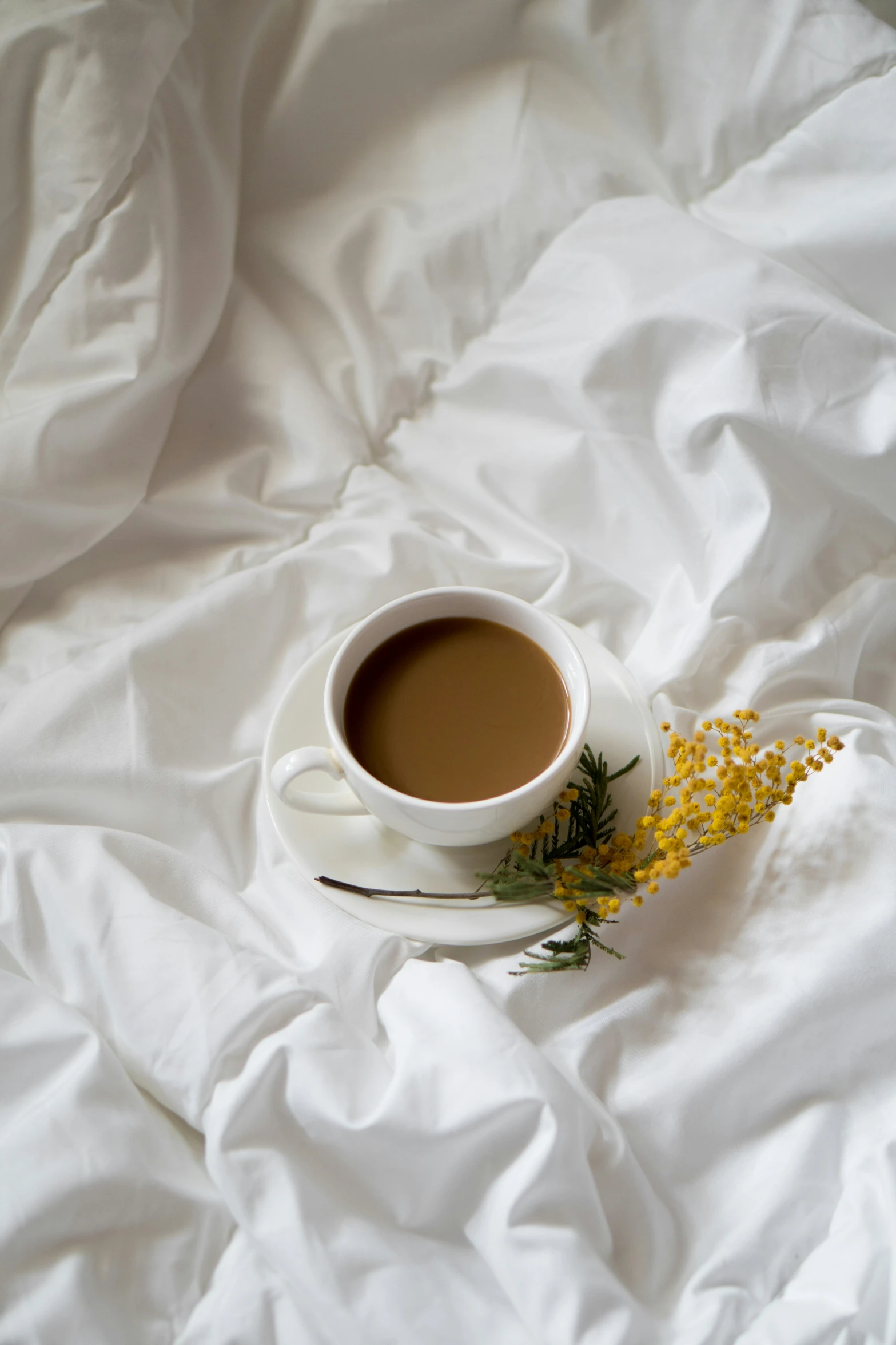 a coffee cup and saucer on a plain white sheet