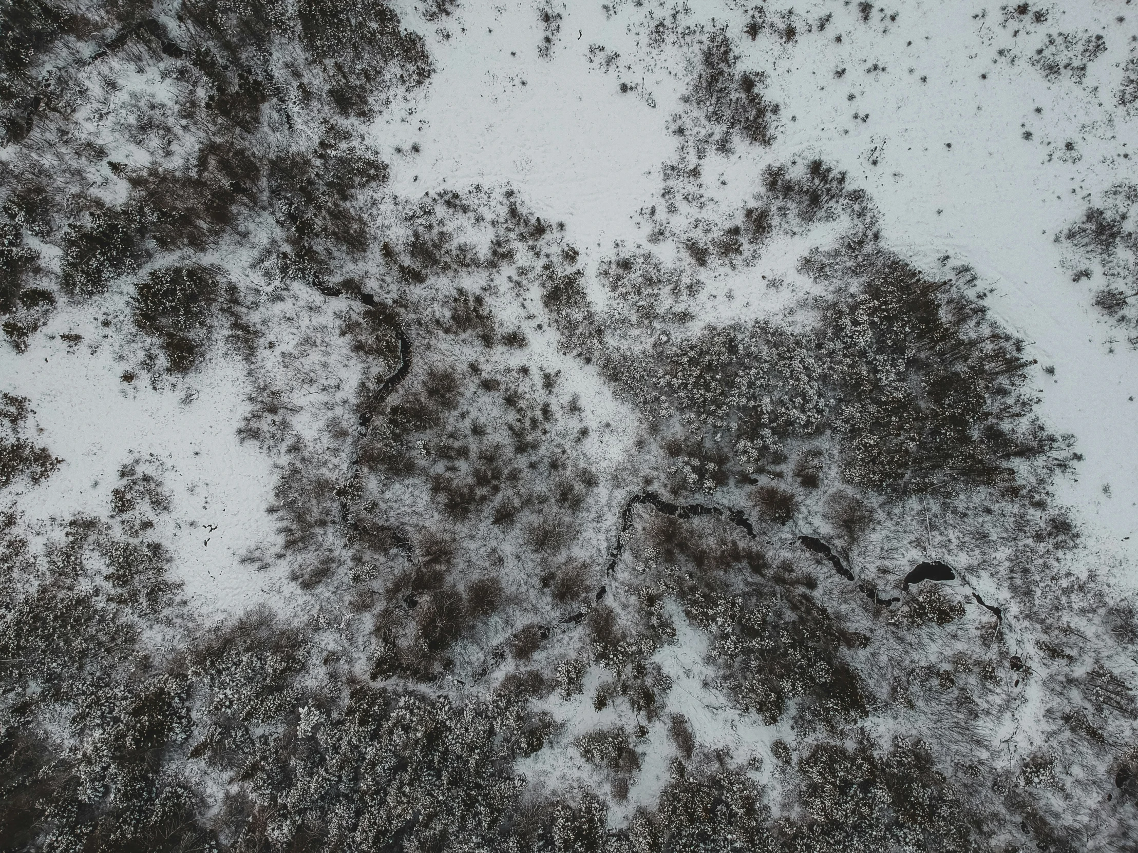 snow covered ground with only a few clouds